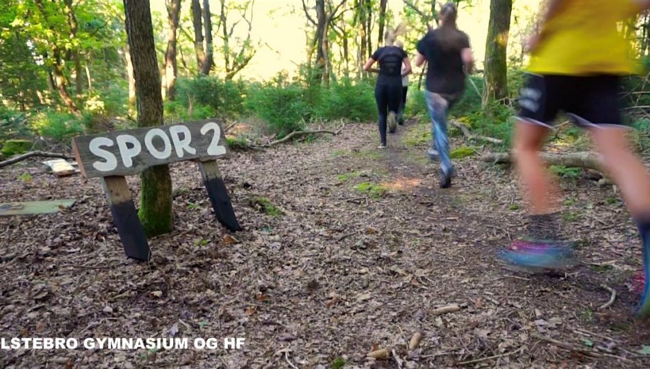 team-trail-challenge